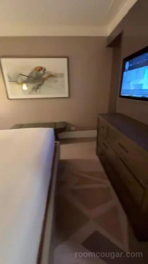 Texas Suite bed picture #9