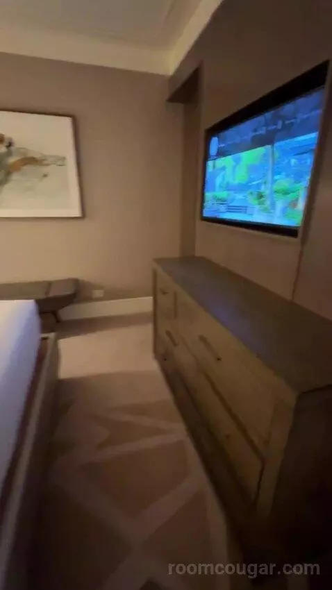 Texas Suite bed picture #12