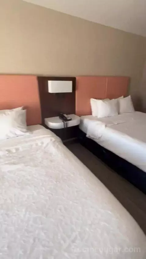 Queen Room with Two Queen Beds picture #16