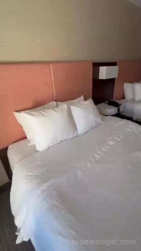 Queen Room with Two Queen Beds picture #18