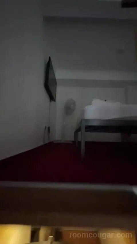 Apartments - Basic Studio bed picture #1