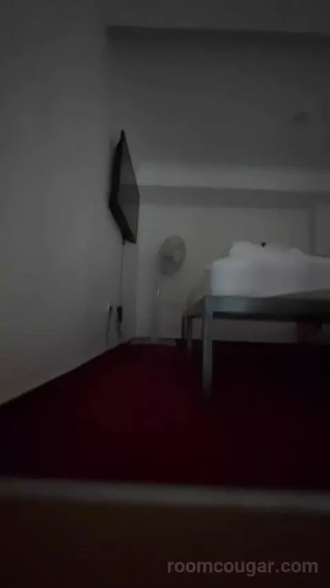 Apartments - Basic Studio bed picture #2
