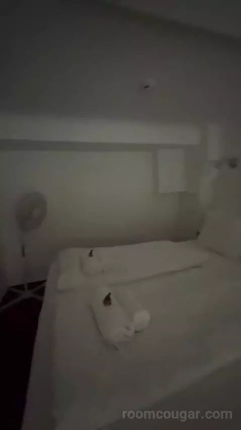 Apartments - Basic Studio bed picture #11