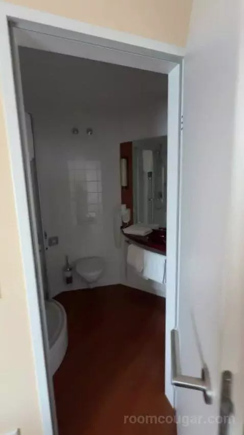 Comfort Double Room bathroom picture #2
