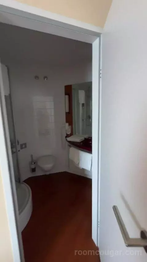Comfort Double Room bathroom picture #4