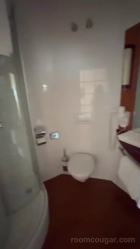 Comfort Double Room bathroom picture #6