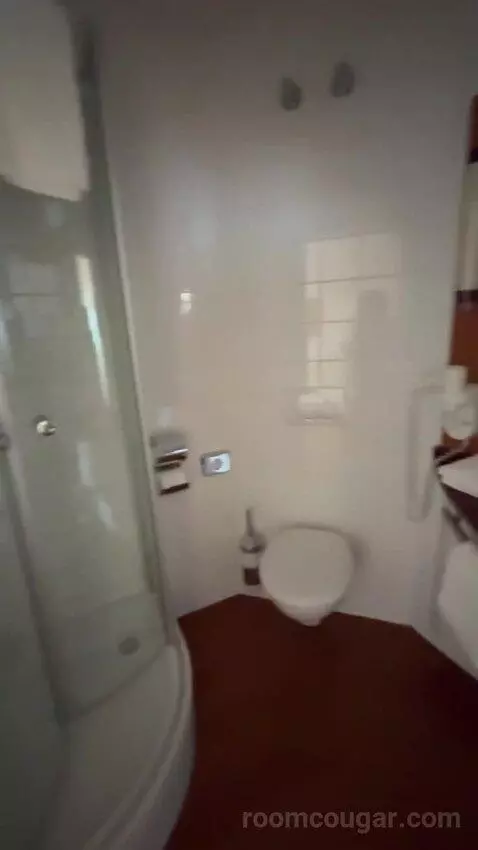 Comfort Double Room bathroom picture #7