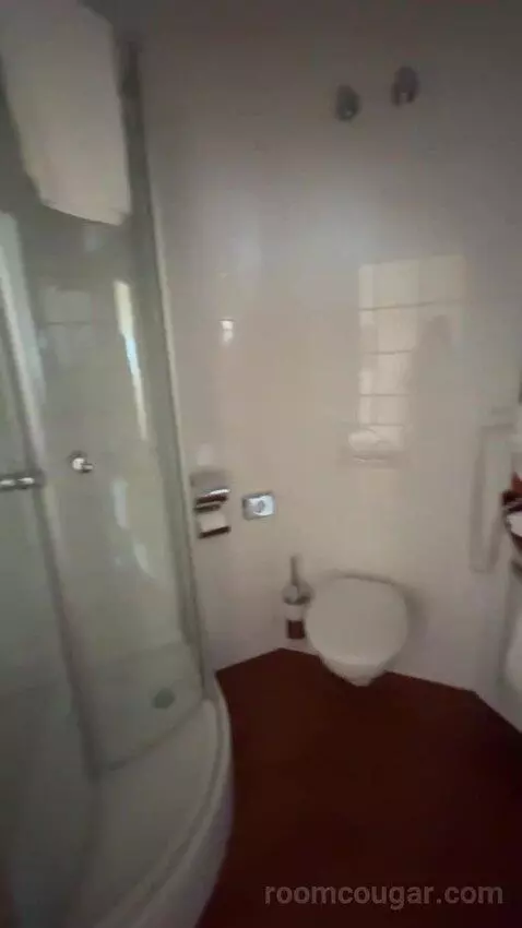 Comfort Double Room bathroom picture #8