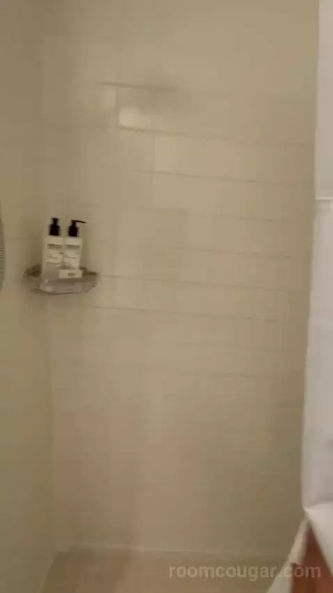 Standard Queen Room bathroom picture #9