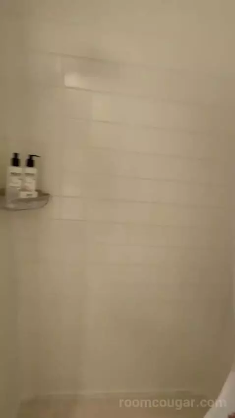 Standard Queen Room bathroom picture #10