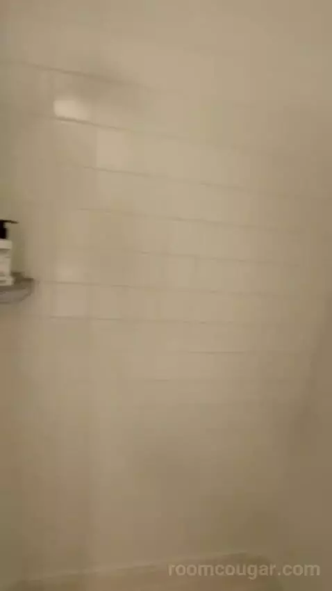 Standard Queen Room bathroom picture #11