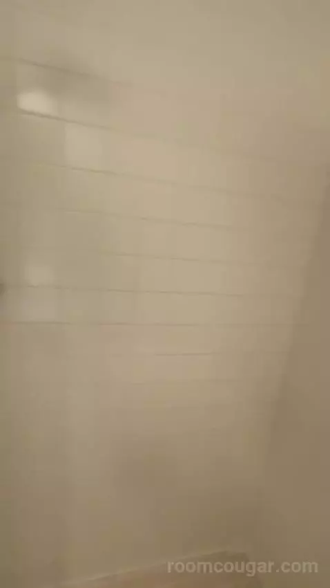 Standard Queen Room bathroom picture #12