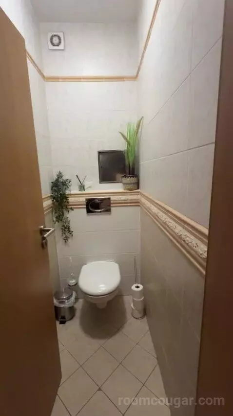 Standard bathroom picture #5