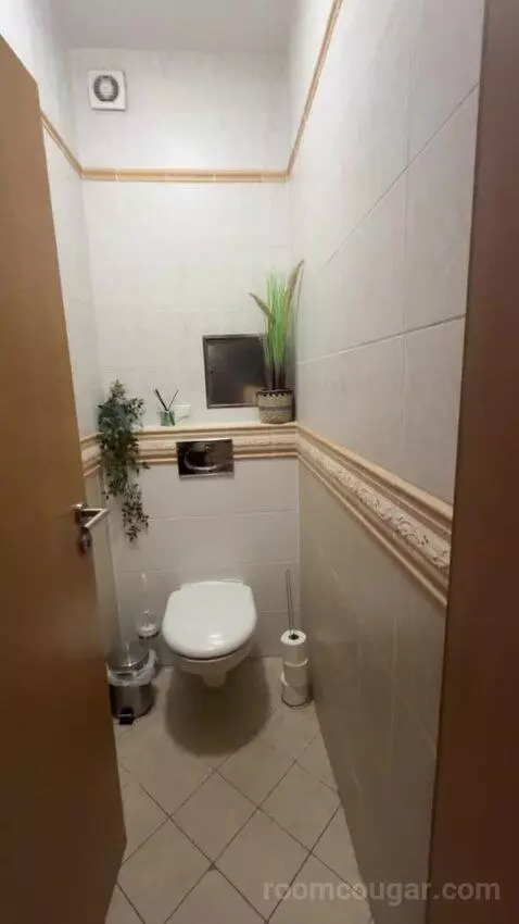 Standard bathroom picture #6