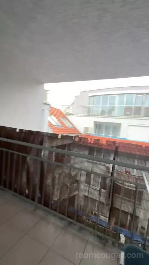 Standard view picture #1