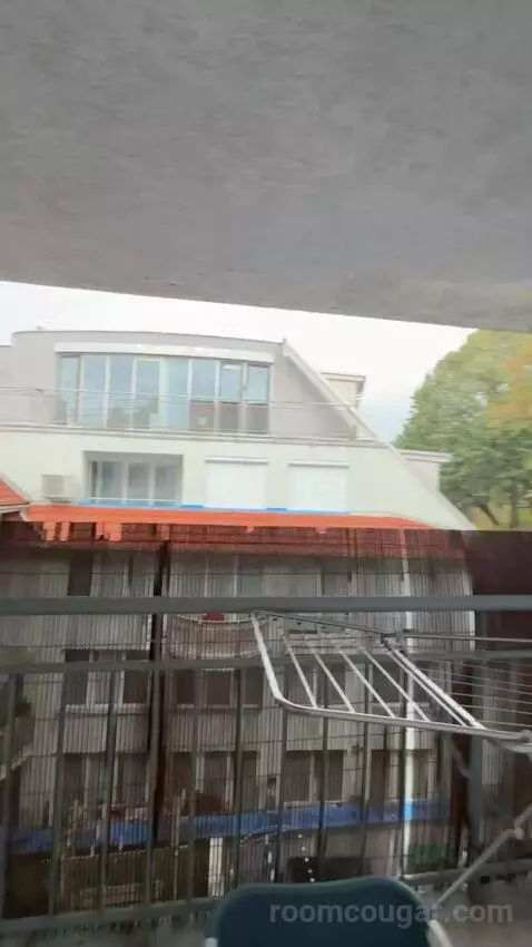 Standard view picture #5