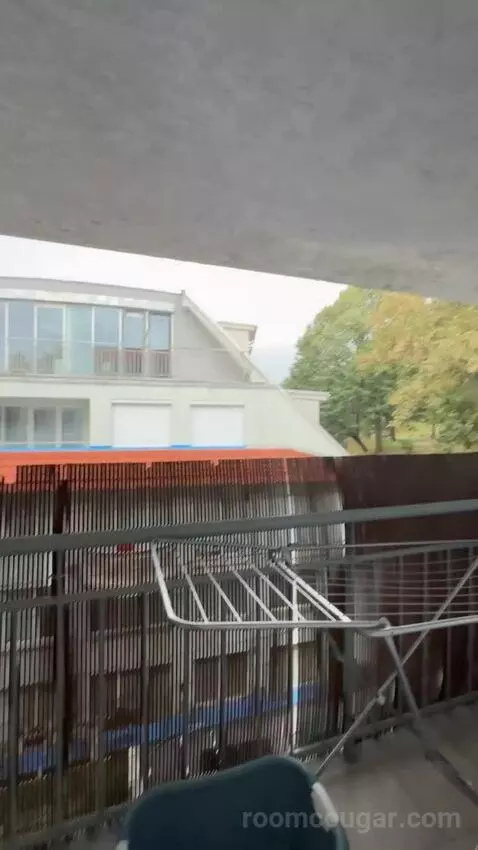 Standard view picture #7