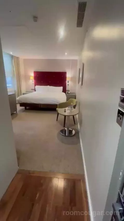 Standard Queen Room picture #1