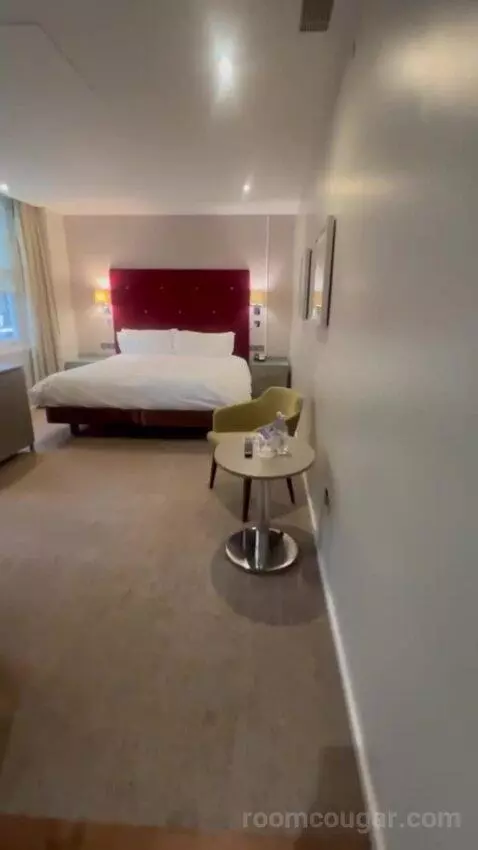 Standard Queen Room picture #4