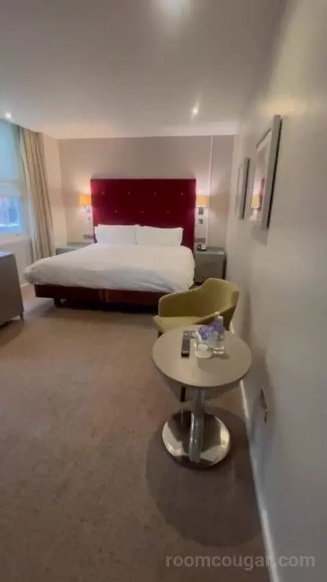 Standard Queen Room picture #6