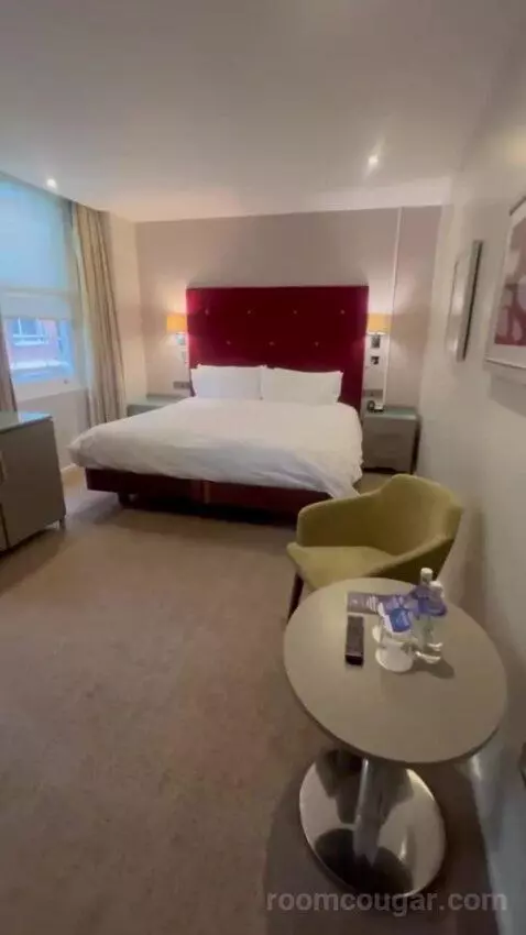 Standard Queen Room picture #7