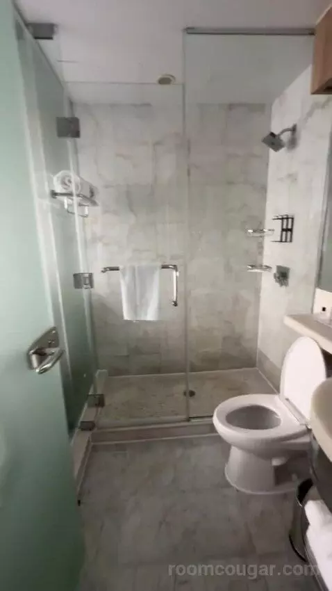 Deluxe 2 Double Beds bathroom picture #3