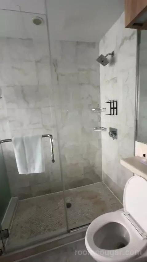 Deluxe 2 Double Beds bathroom picture #6