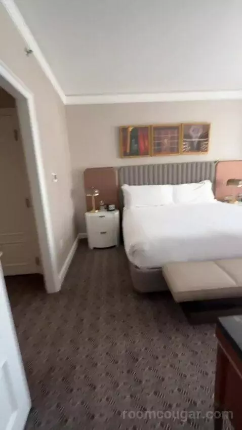 Deluxe King Suite with Sofa Bed bed picture #2