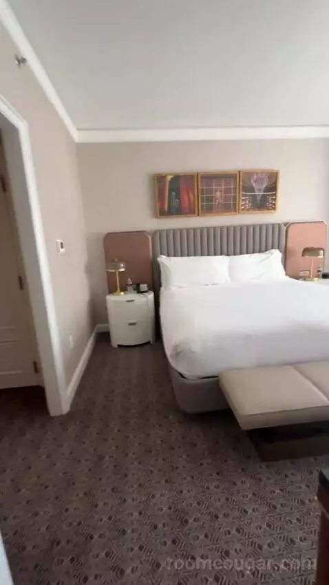 Deluxe King Suite with Sofa Bed bed picture #3