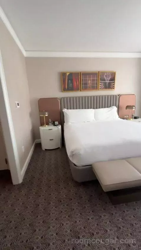 Deluxe King Suite with Sofa Bed bed picture #4