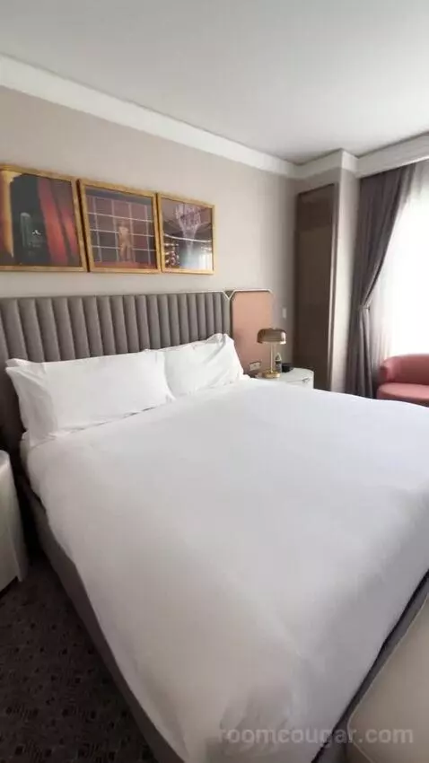 Deluxe King Suite with Sofa Bed bed picture #5