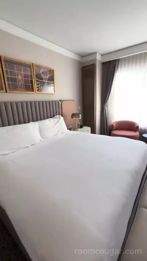 Deluxe King Suite with Sofa Bed bed picture #7