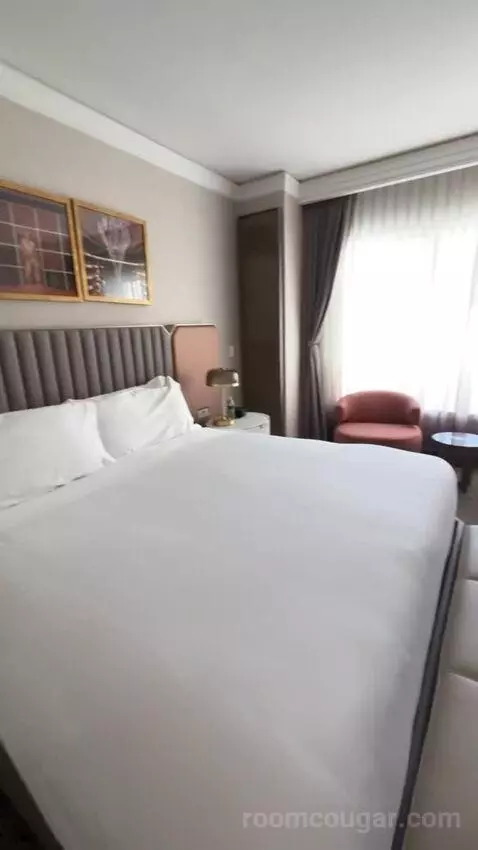 Deluxe King Suite with Sofa Bed bed picture #8
