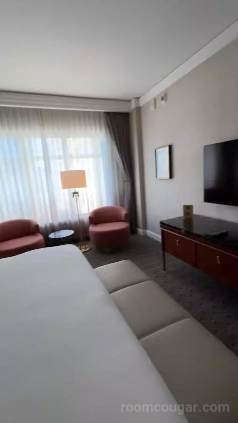 Deluxe King Suite with Sofa Bed bed picture #9