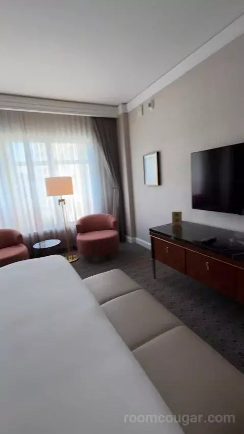 Deluxe King Suite with Sofa Bed bed picture #10