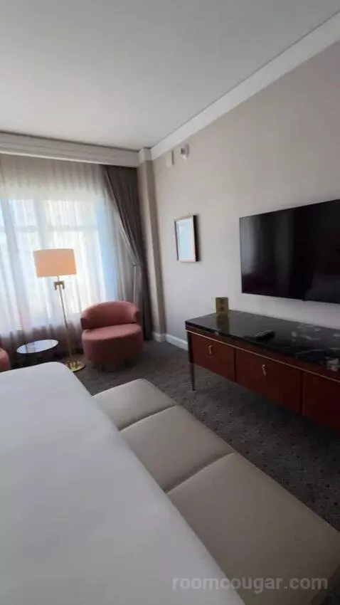 Deluxe King Suite with Sofa Bed bed picture #11