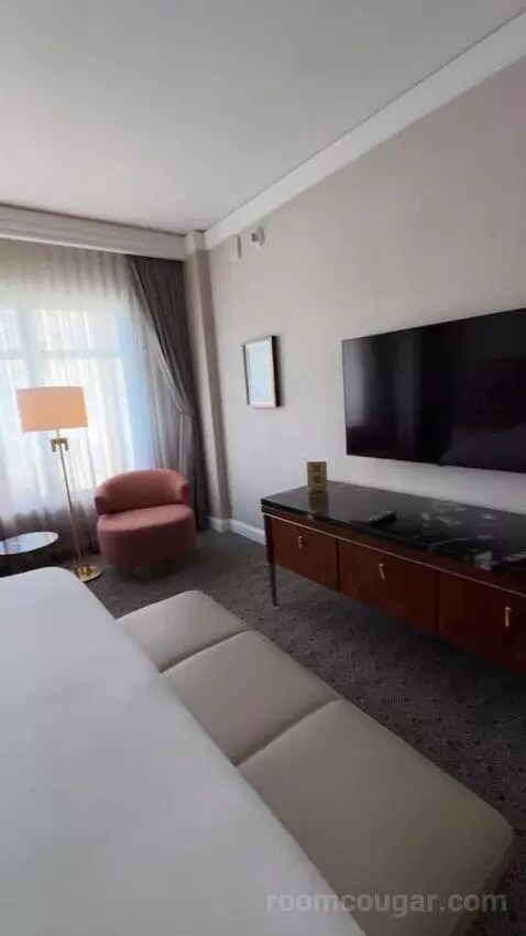 Deluxe King Suite with Sofa Bed bed picture #12