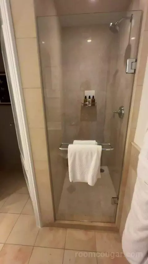 Deluxe King Suite with Sofa Bed bathroom picture #1