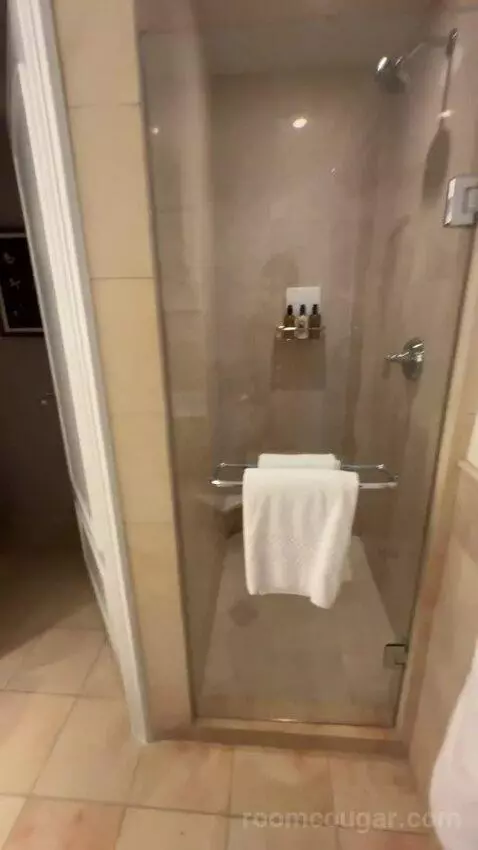 Deluxe King Suite with Sofa Bed bathroom picture #2