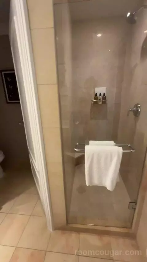 Deluxe King Suite with Sofa Bed bathroom picture #3