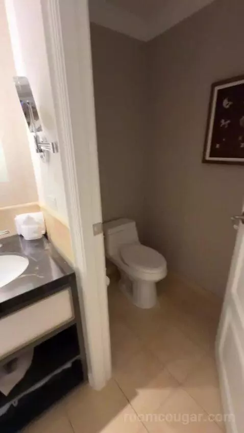 Deluxe King Suite with Sofa Bed bathroom picture #4