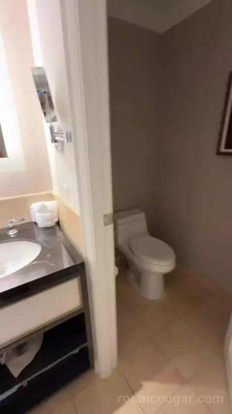 Deluxe King Suite with Sofa Bed bathroom picture #5
