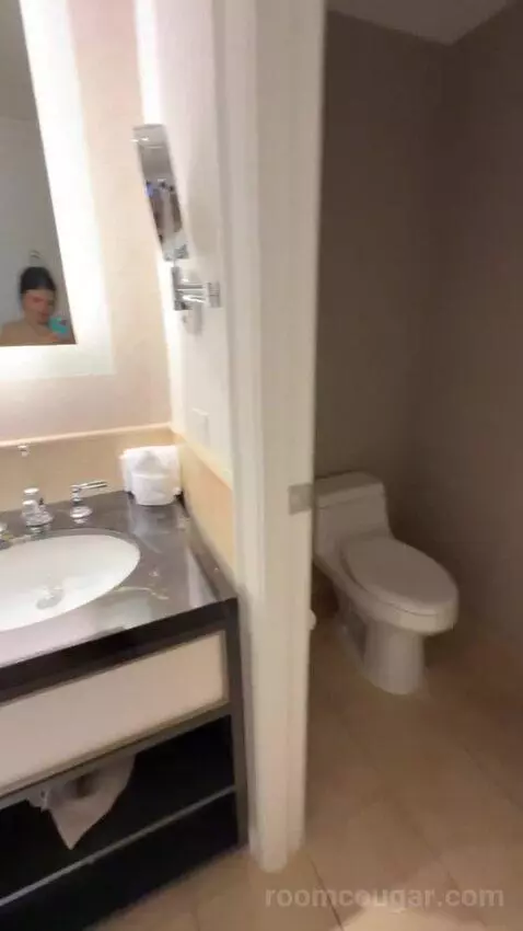 Deluxe King Suite with Sofa Bed bathroom picture #6