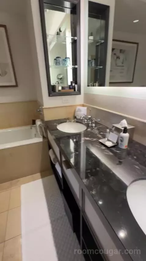 Deluxe King Suite with Sofa Bed bathroom picture #7