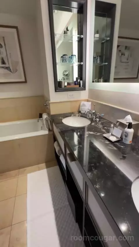 Deluxe King Suite with Sofa Bed bathroom picture #8