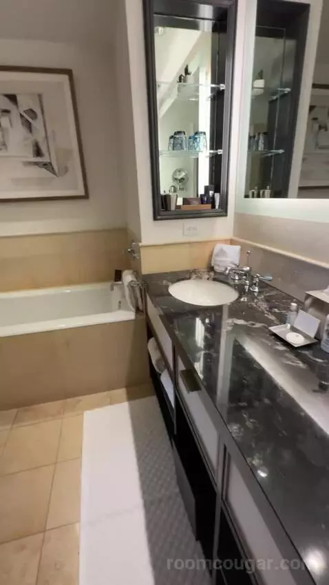 Deluxe King Suite with Sofa Bed bathroom picture #9