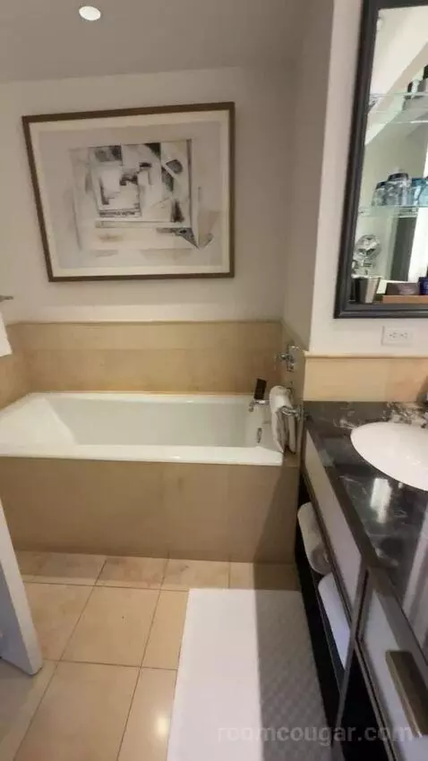 Deluxe King Suite with Sofa Bed bathroom picture #10