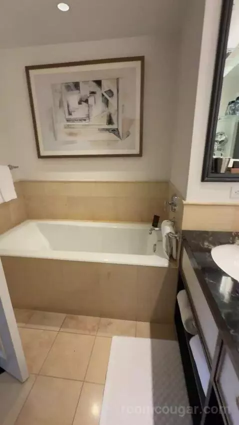 Deluxe King Suite with Sofa Bed bathroom picture #11
