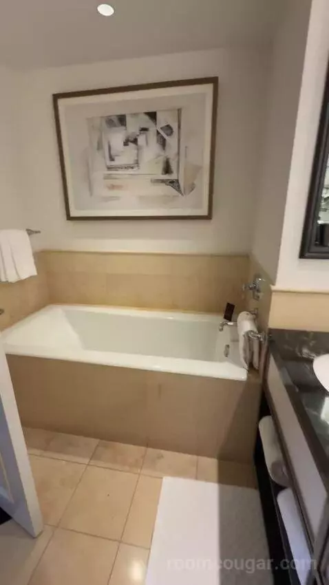 Deluxe King Suite with Sofa Bed bathroom picture #12