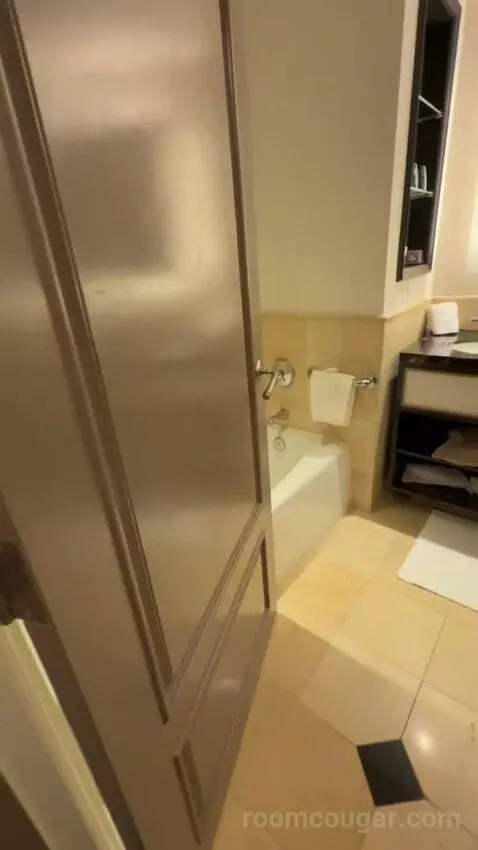 Deluxe King Room bathroom picture #1